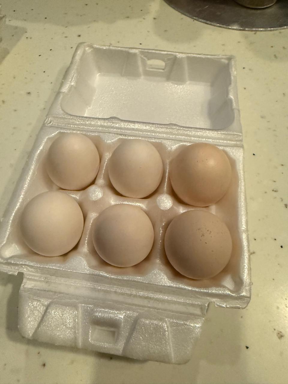 Fresh eggs and product packaging